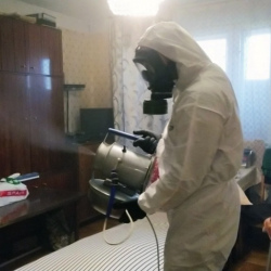 Дезинфекция от клопов в Белорецке