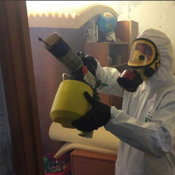 Уничтожение клопов в квартире. Белорецк